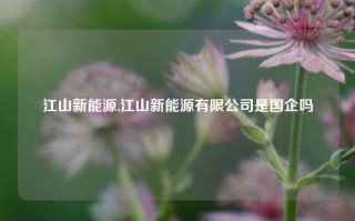 江山新能源,江山新能源有限公司是国企吗