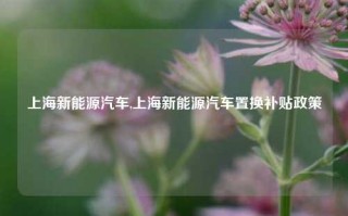 上海新能源汽车,上海新能源汽车置换补贴政策