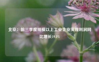 北京：前三季度规模以上工业企业实现利润同比增长19.1%