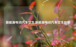 新能源电动汽车女生,新能源电动汽车女生自慰