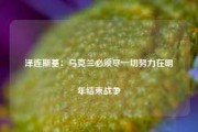 泽连斯基：乌克兰必须尽一切努力在明年结束战争