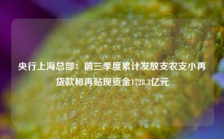 央行上海总部：前三季度累计发放支农支小再贷款和再贴现资金1728.3亿元