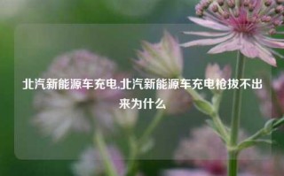 北汽新能源车充电,北汽新能源车充电枪拔不出来为什么