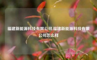 福建新能源科技有限公司,福建新能源科技有限公司怎么样