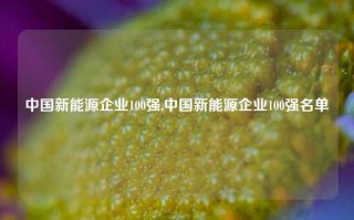 中国新能源企业100强,中国新能源企业100强名单