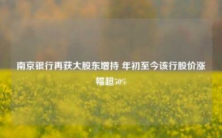 南京银行再获大股东增持 年初至今该行股价涨幅超50%