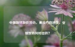 中旗新材股价异动，募投方向迷失，业绩颓势何时扭转？