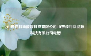 山东佳利新能源科技有限公司,山东佳利新能源科技有限公司电话