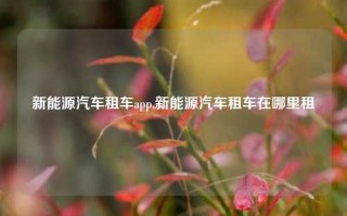 新能源汽车租车app,新能源汽车租车在哪里租