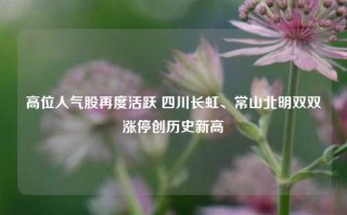 高位人气股再度活跃 四川长虹、常山北明双双涨停创历史新高