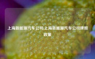 上海新能源汽车公司,上海新能源汽车公司牌照政策