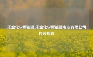 乐金化学新能源,乐金化学新能源电池有限公司校园招聘