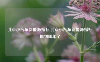 北京小汽车新能源指标,北京小汽车新能源指标排到哪年了