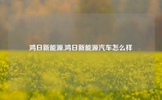 鸿日新能源,鸿日新能源汽车怎么样