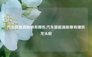 汽车新能源股票有哪些,汽车新能源股票有哪些龙头股