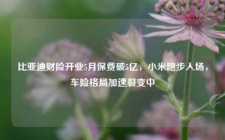 比亚迪财险开业5月保费破5亿，小米跑步入场，车险格局加速裂变中