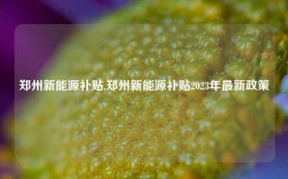 郑州新能源补贴,郑州新能源补贴2023年最新政策