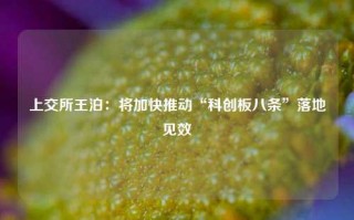 上交所王泊：将加快推动“科创板八条”落地见效