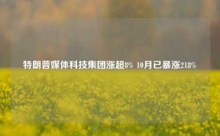 特朗普媒体科技集团涨超8% 10月已暴涨218%