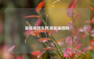 新能源团车网,新能源团购