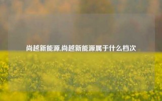 尚越新能源,尚越新能源属于什么档次