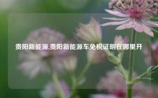 贵阳新能源,贵阳新能源车免税证明在哪里开