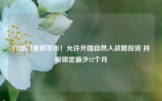 六部门重磅发布！允许外国自然人战略投资 持股锁定最少12个月