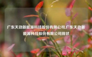 广东天劲新能源科技股份有限公司,广东天劲新能源科技股份有限公司现状