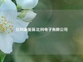 比科新能源,比科电子有限公司