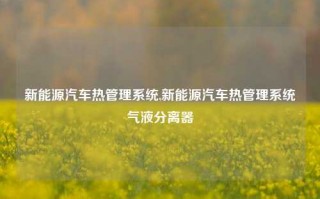 新能源汽车热管理系统,新能源汽车热管理系统气液分离器