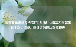 博时基金市场异动陪伴11月7日：A股三大指数集体上涨，消费、非银金融板块涨幅领先