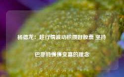 杨德龙：趁行情波动积攒好股票 坚持巴菲特慢慢变富的理念