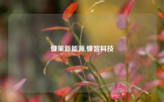 慷策新能源,慷智科技