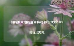 阿特斯太阳能盘中异动 股价大跌5.10%报11.17美元