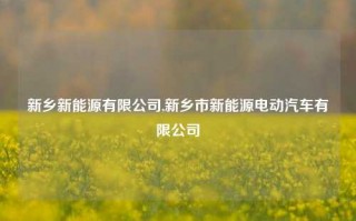 新乡新能源有限公司,新乡市新能源电动汽车有限公司