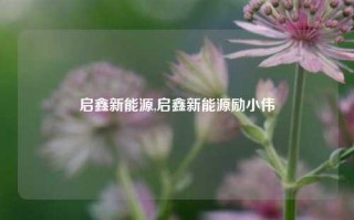 启鑫新能源,启鑫新能源励小伟