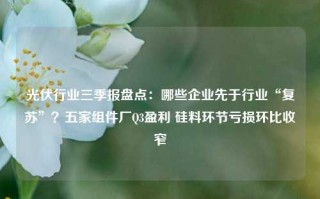 光伏行业三季报盘点：哪些企业先于行业“复苏”？五家组件厂Q3盈利 硅料环节亏损环比收窄