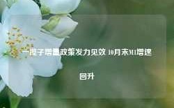 一揽子增量政策发力见效 10月末M1增速回升