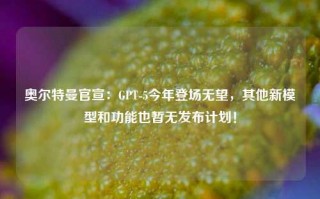 奥尔特曼官宣：GPT-5今年登场无望，其他新模型和功能也暂无发布计划！