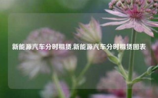 新能源汽车分时租赁,新能源汽车分时租赁图表