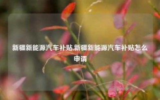 新疆新能源汽车补贴,新疆新能源汽车补贴怎么申请