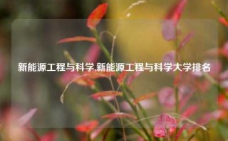 新能源工程与科学,新能源工程与科学大学排名