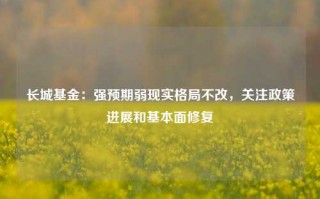 长城基金：强预期弱现实格局不改，关注政策进展和基本面修复