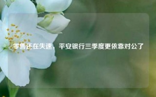 零售还在失速，平安银行三季度更依靠对公了