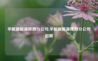 华能新能源陕西分公司,华能新能源陕西分公司招聘