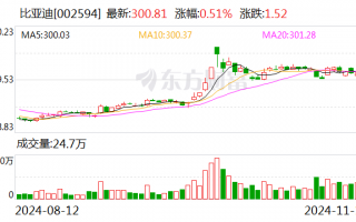 前10个月新能源车险保费同比大增53% 比亚迪、小米等新“玩家”相继入局