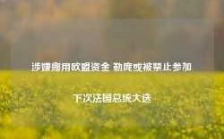 涉嫌挪用欧盟资金 勒庞或被禁止参加下次法国总统大选