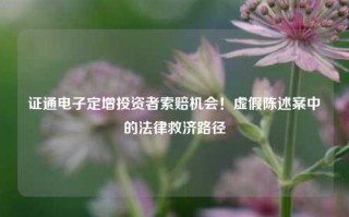 证通电子定增投资者索赔机会！虚假陈述案中的法律救济路径