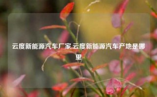 云度新能源汽车厂家,云度新能源汽车产地是哪里