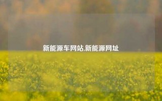 新能源车网站,新能源网址